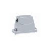 Capot 24B, Aluminium moulé sous pression, acier inoxydable, IP68/IP69K, Sortie horizontale, PG29